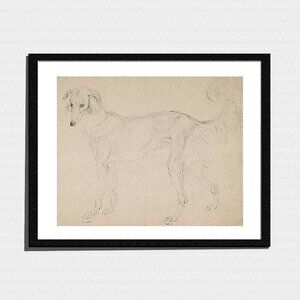 Art Print, Minimalist Dog Pencil Sketch
